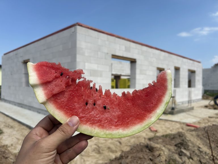 Шаблон проекта